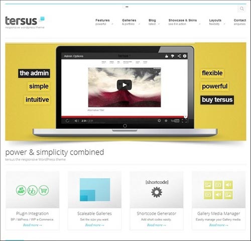 BuddyPress Themes