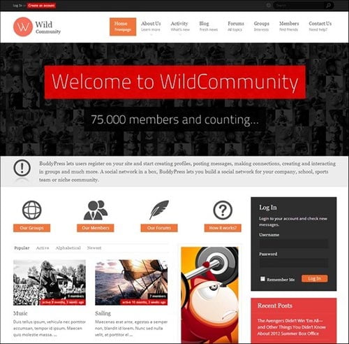 BuddyPress Themes