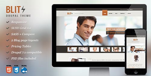 Drupal Responsive Themes 2014