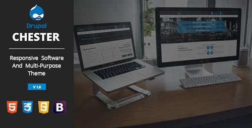 Drupal Responsive Themes 2014