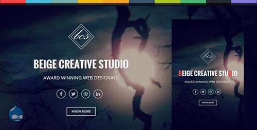Drupal Responsive Themes 2014