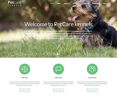 Top Quality WordPress Themes for Business Top Quality WordPress Themes for Business