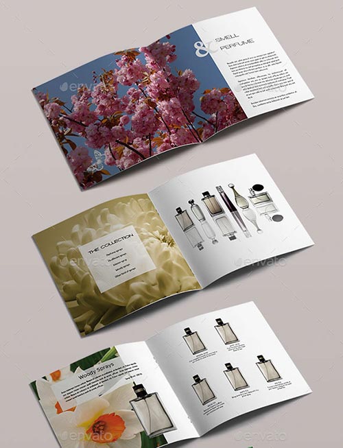 PSD & InDesign Brochure Templates