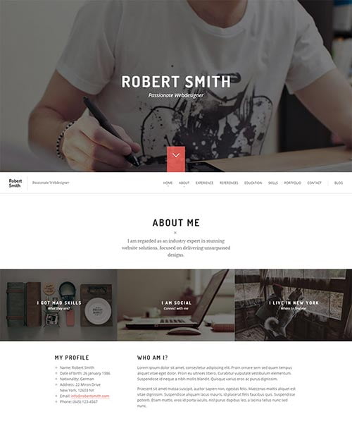 Attractive Online Resume Templates