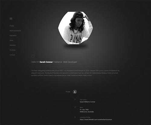 Attractive Online Resume Templates
