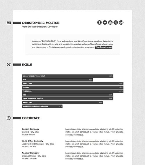 Attractive Online Resume Templates