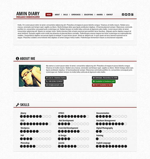 Attractive Online Resume Templates
