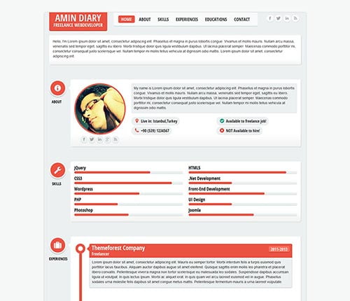 Attractive Online Resume Templates