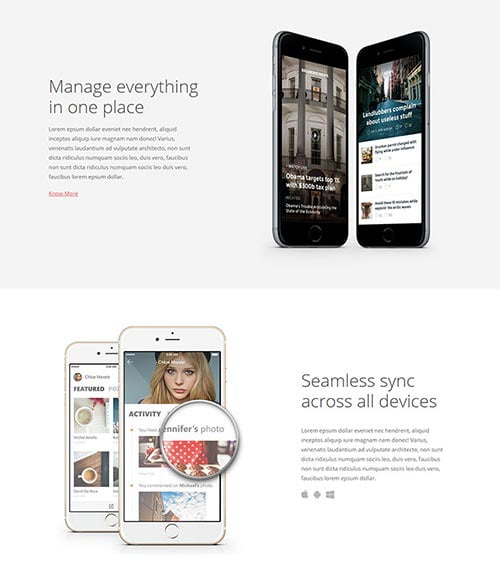 Premium Landing Page WordPress Themes