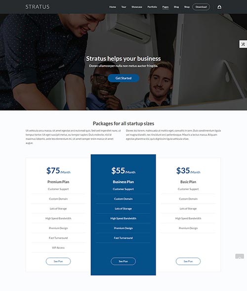 WordPress Themes with Pricing Tables WordPress Themes with Pricing Tables