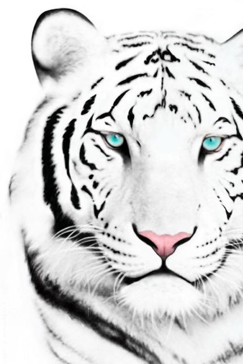 Beautiful iPhone 4 Wallpapers