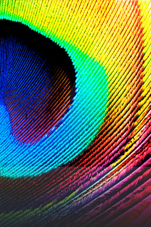 Beautiful iPhone 4 Wallpapers