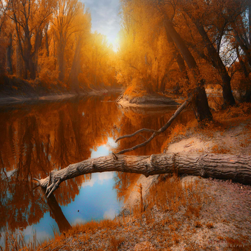 Stunning Autumn Photography by Ildiko Neer