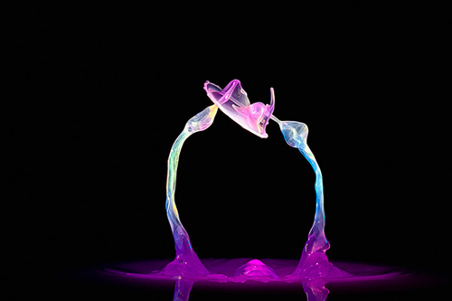 Water Droplets Photography by Markus Reugels