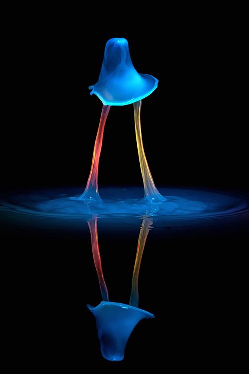 Water Droplets Photography by Markus Reugels