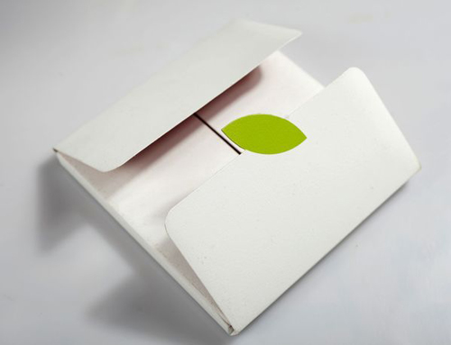 Awesome and Inspiring Brochures Design by Magesh L P