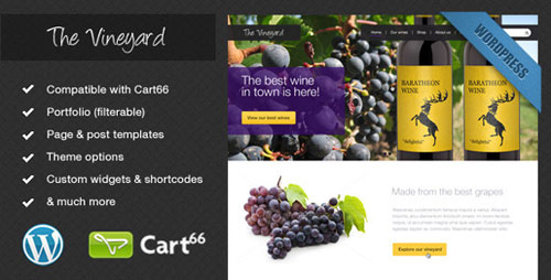 Wordpress eCommerce Themes