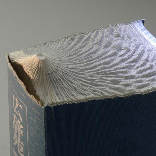 Stunning Carved Book Sculptures by Guy Laramee