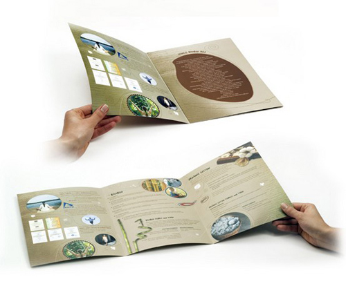 Brochure and Print Design