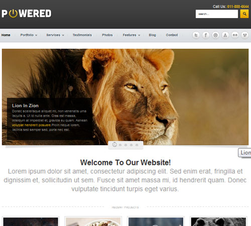 Powered Business Portfolio WordPress Theme