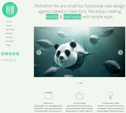 View - 2 in 1 WordPress Responsive Themes