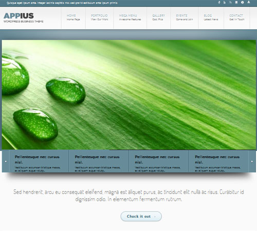 Appius - Premium WordPress Portfolio Theme