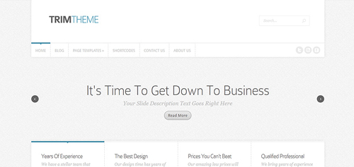 WordPress Themes