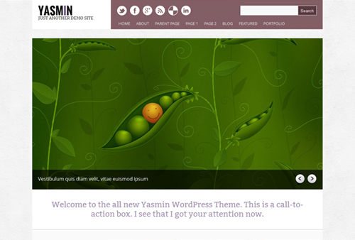 Free and Premium WordPress Themes