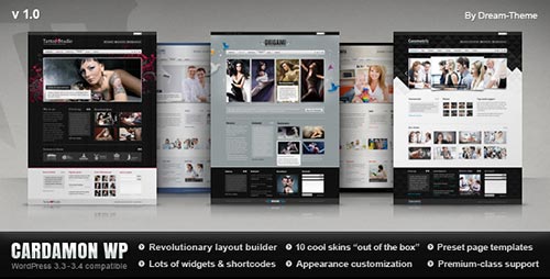 Premium WordPress Themes