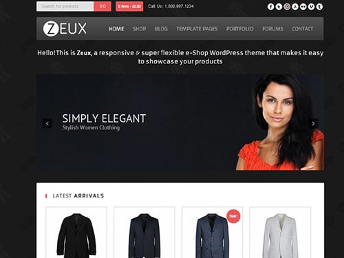 Premium WordPress Themes