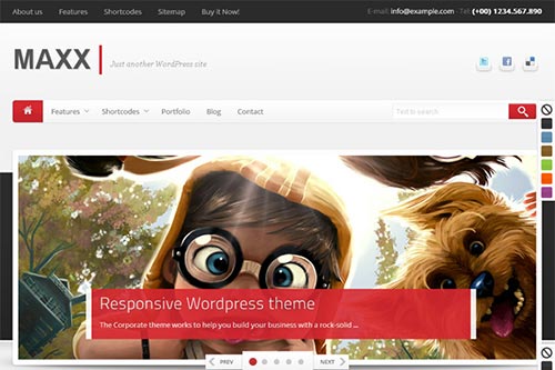 Premium WordPress Themes