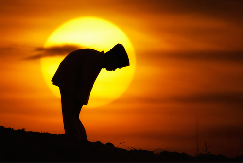 Amazing Sunset Silhouette