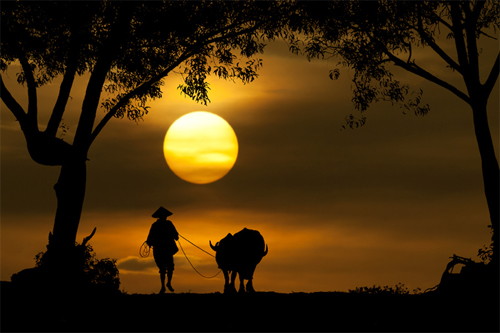 Amazing Sunset Silhouette