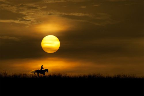 Amazing Sunset Silhouette