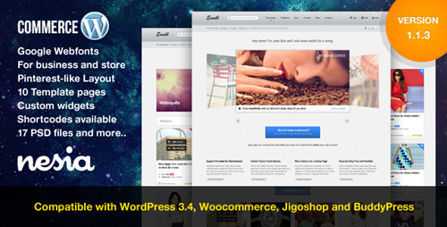 Responsive Ecommerce WordPress Themes