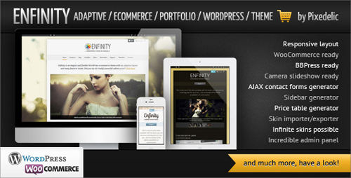 Responsive Ecommerce WordPress Themes