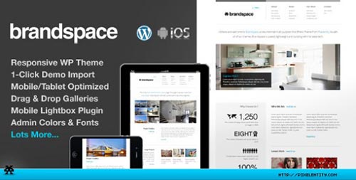 WordPress Themes