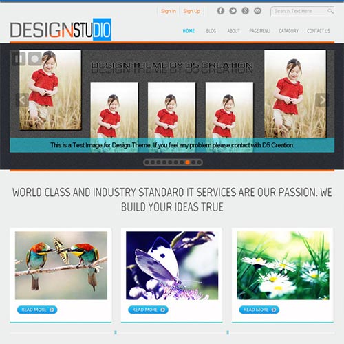 WordPress Themes