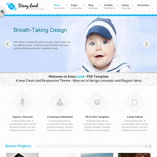 WordPress Themes