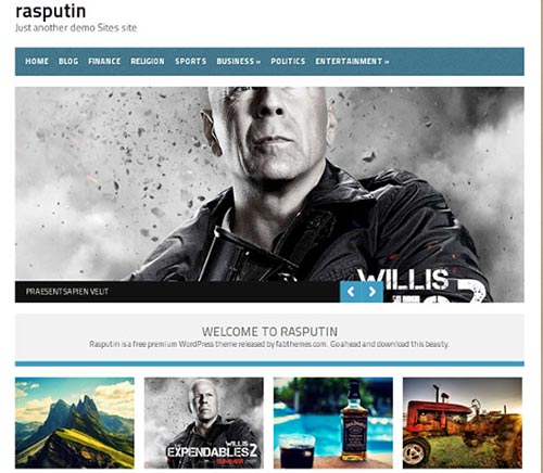 WordPress Themes