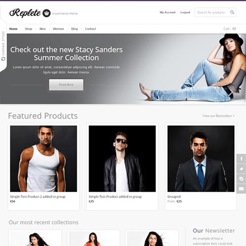 WordPress Themes