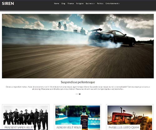 WordPress Themes