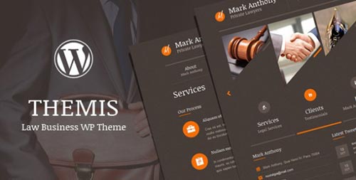 WordPress Themes