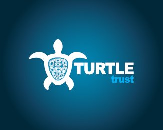 Turtle Logo Design Inspiration