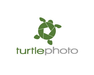 Turtle Logo Design Inspiration