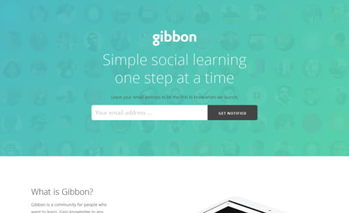 Gibbon