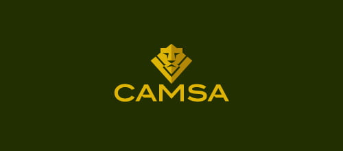 Impressive Lion Logo Design