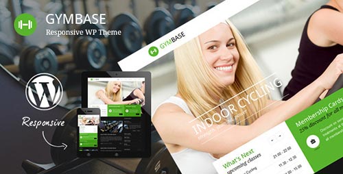 Professional WordPress Themes