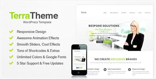 Professional WordPress Themes