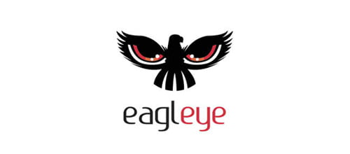 Eye Logo Designed